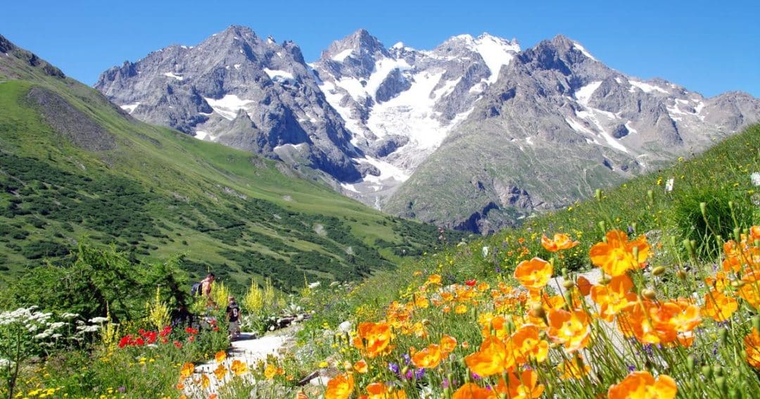 , Alpes suisses : Les randonneurs retrouvés morts avaient creusé un igloo pour survivre
